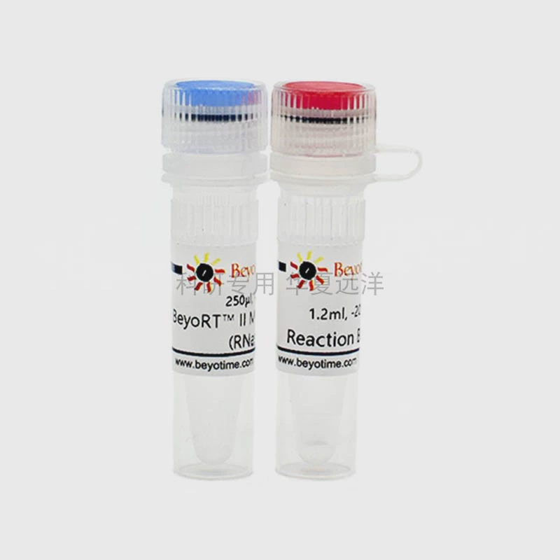 D7160M-50KU BeyoRT™II M-MLV обратная транскриптаза (RNase H-) Biyuntian