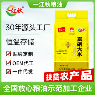 һ���︻������10������b5kg�����i�����ϵ������|��������