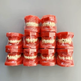 其他口腔护理;口腔护理套装;医药教学器材
