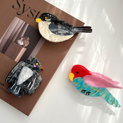 新型アニメの大衆デザインの色合わせオウム酢酸が鳥の髪飾りを挟んでいます。