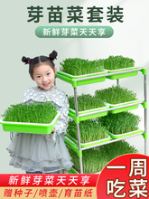 豆芽发芽盆水培蔬菜设备豌豆苗种植架无土栽培托家用芽苗菜育狄瑄