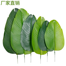 仿真植物叶片单片叶子天堂鸟芭蕉叶旅人蕉幼儿园环创插花篮盆景叶