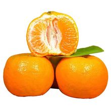 四川椪柑新鲜柑橘非耙耙柑椪柑包邮产地直发柑桔一件代发