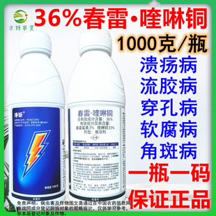 ���� 36%��������~���ٝ������ǰ߲�����ù������~������1kg