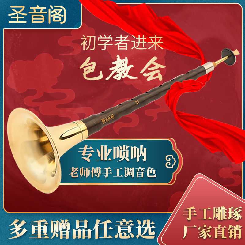 黑檀木乌木唢呐乐器全套初学者成人入D调民族中号吹奏喇叭|ms