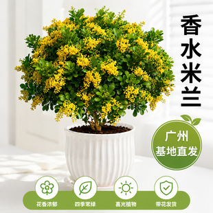 ��ˮ���m���Կ͏d�ļ�����������û�������ͻ���ֲ���҃Ȏ�����