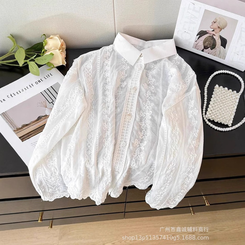Artistic Embroidery Long-Sleeve Shirt French Spring and Autumn Season Korean Version Loose Casual Polo Collar Loose Irregular Top