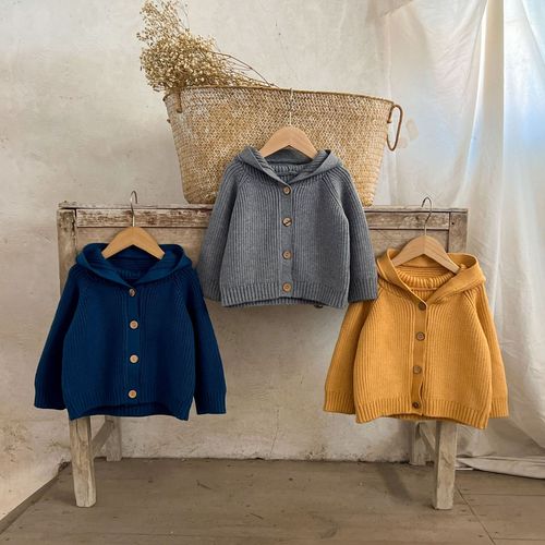Ins Korean Version Children's Sweater for Boys and Girls, Baby, Pure Cotton Hooded Jacket for Infants and Toddlers, Autumn and Winter Pure Cotton Sweater