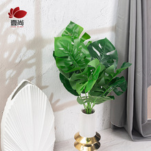 ����Gֲ  ���������~  �Ҿ��b� ɭϵ�b�� �zӰ����