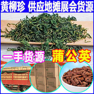 �ѹ�Ӣ���~��؛ ɢ�b���Ŷ����ѹ�Ӣ���� �S��ֱ��