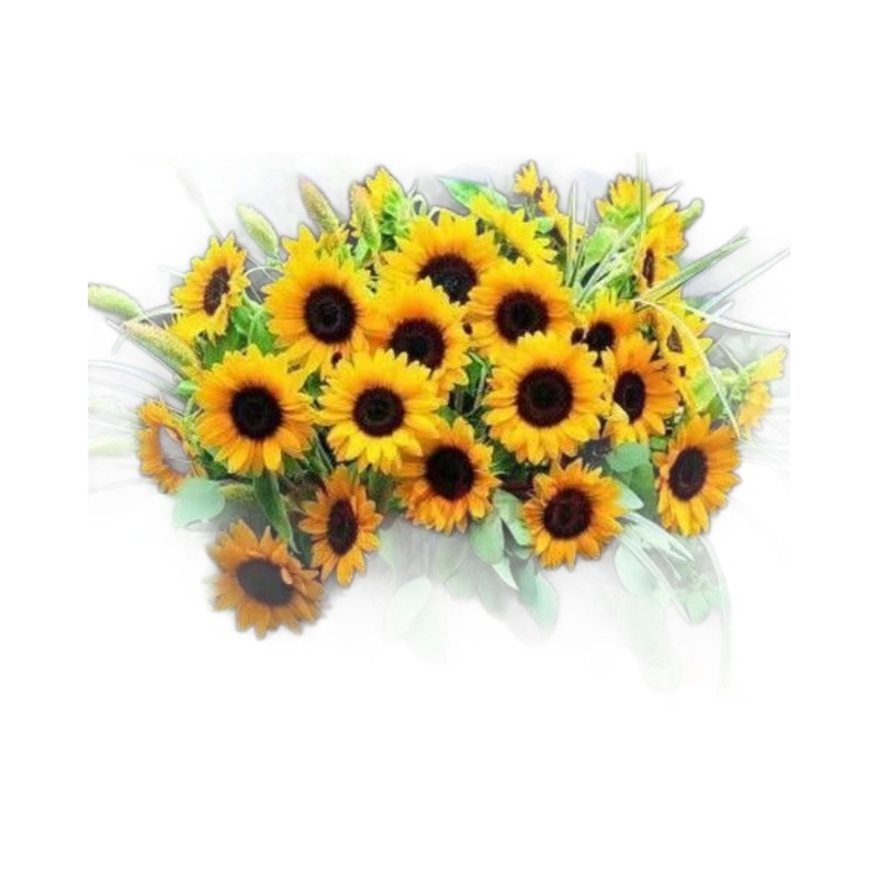 Semillas de flores, semillas de flores.