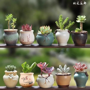 ⻨մɶֲՏ͹؟ɰÄСs