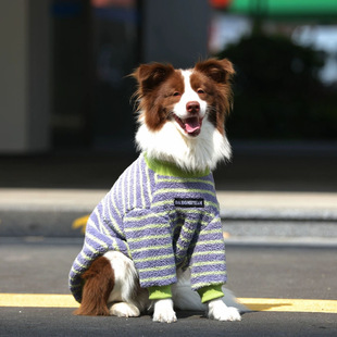 �󹷶����·����O�q�Ӻ�ů���_�´���Ȯ��ë��������ӽq�ﶬ�b