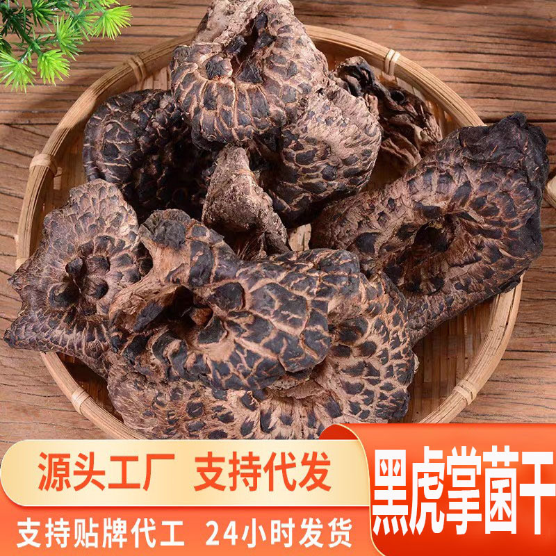 源头一件代发黑虎掌菌干货 云南特产黑虎掌酒店煲汤食用黑虎掌