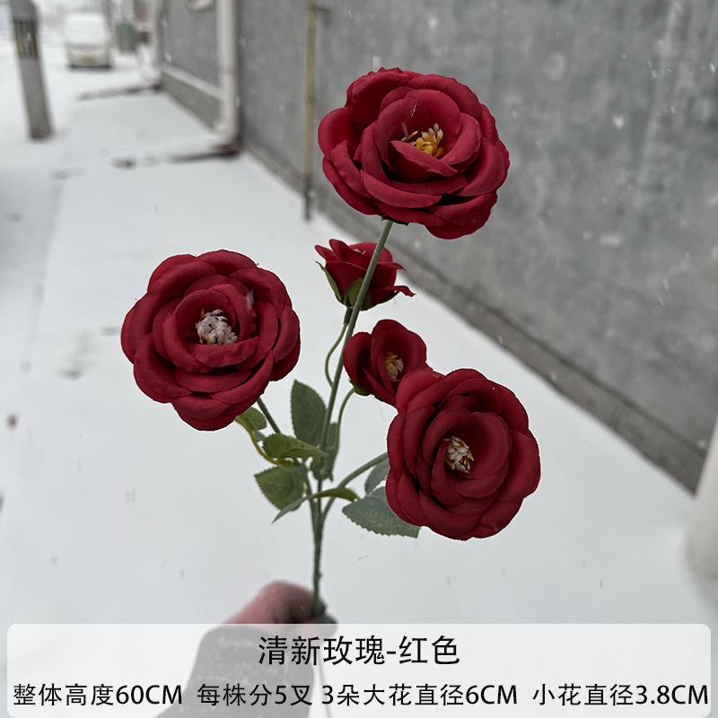 레드