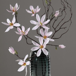 �Wʽ���滨���m ��c�Ҿ��b��辰��  ����ľ�޻�ˇ�[���S�����l