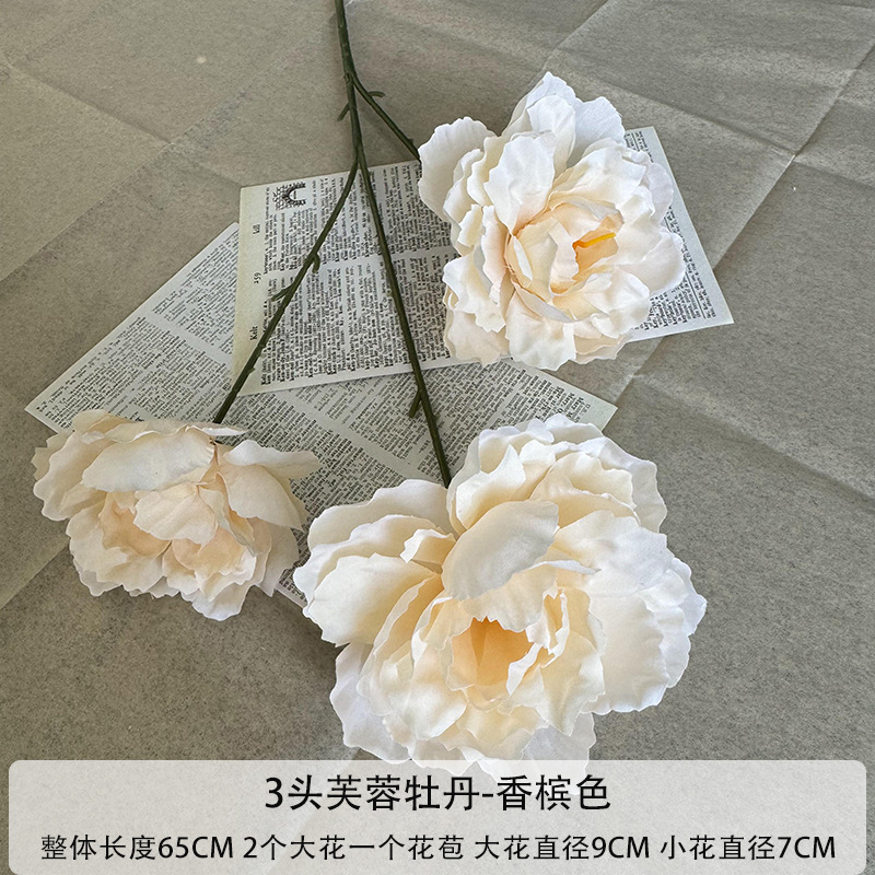 샴페인