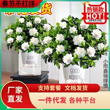 һ�����l�d�ӻ����ԗd�ӻ�ˮ��ֲ���ļ��_�����玧�����҃Ⱥ��B��