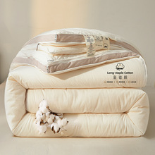 高端a类100%新疆棉花被芯冬季加厚被褥拉链款子母被春秋被棉絮