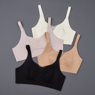 2026�p�����������l����264-29
