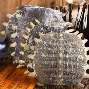 �����]����ș���M�����M���M����~��500g250g100g���NҎ��