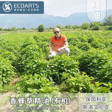 ���ݾ��� �M���ЙC����ԭ�� ���s��ȡ�η�����ԭ������ԭ��