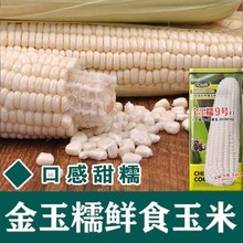 xŴ9̖ɫ׷NŴˮNrҴNļ