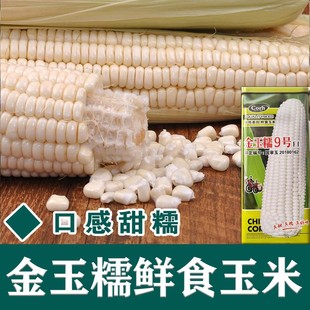 ���x����Ŵ9̖��ɫ�����׷N����Ŵˮ���N���r�Ҵ���N���ļ�����