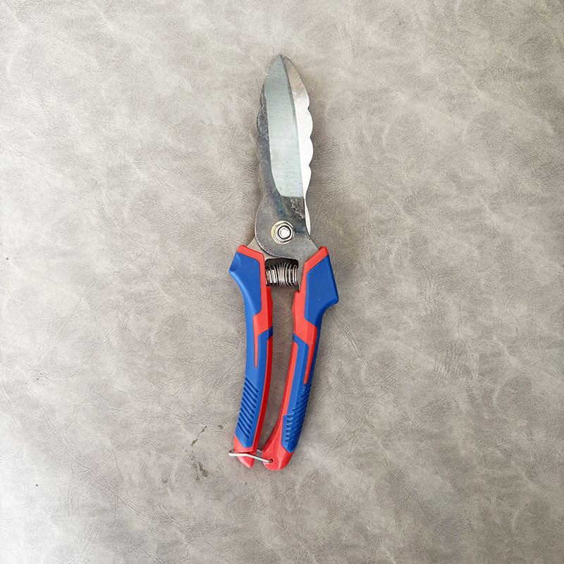 微信图片_20251214133212_219_408.jp