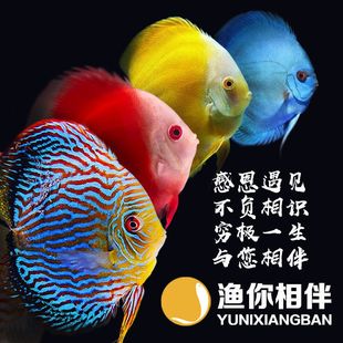 �߲������~��Ʒ�^�p�~�Ꭷ�~���w�~�����~ؔ�������ϻ������]���p