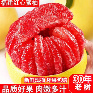 �����հl�����ڸ�������ƽ�ͼt�����֬Fժ����ԭ�a�����rƤ������