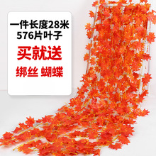 �t���~�ٗl���ϻ��٘��~���b������ٻ���ŵ��ֲ��ܵ��p�@