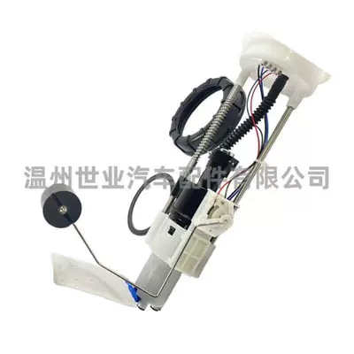 Suitable for Polaris Delivery – Oil pump, nozzle
