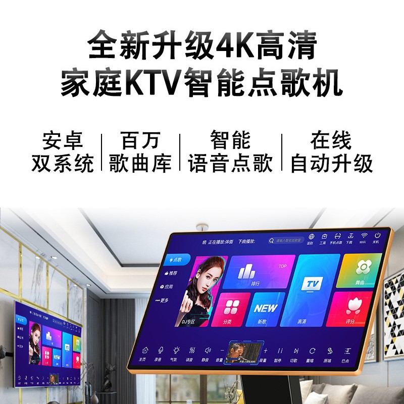 Haishilang 21.5 High-Definition Smart Karaoke All-In-One Machine for Home Karaoke, Bar, Ktv Entertainment Speaker System