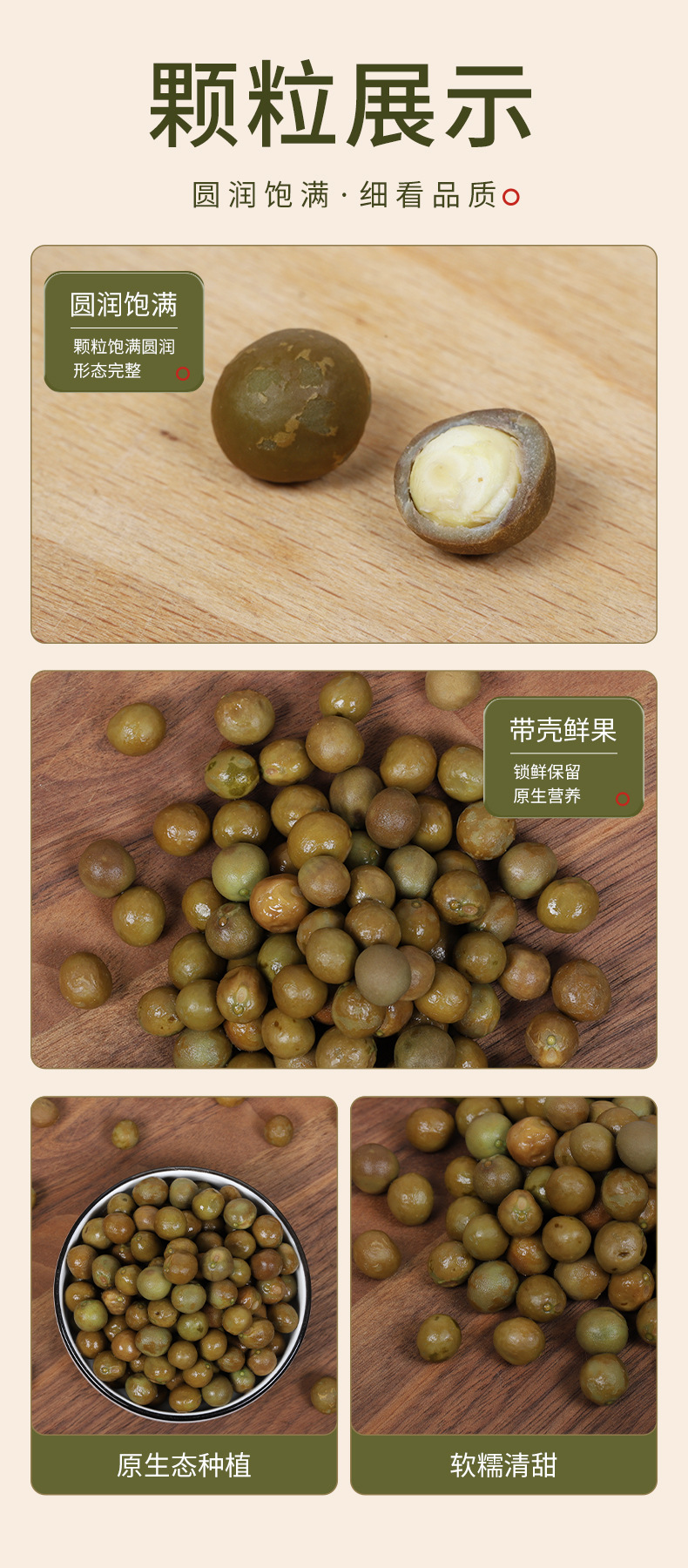 Dried Gorgon Fruit Qian Shi 500g Fresh Season Euryale Seeds for Soup and Congee quality and texture