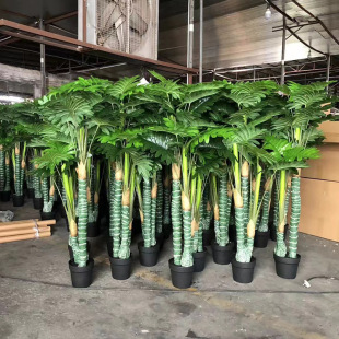 �������Gֲ����ϲ�����҃�����辰�[�ż٘������~���󱱚W�b�