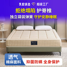 oɼÉ| ӺȻz˯ ǼƵoܛ|