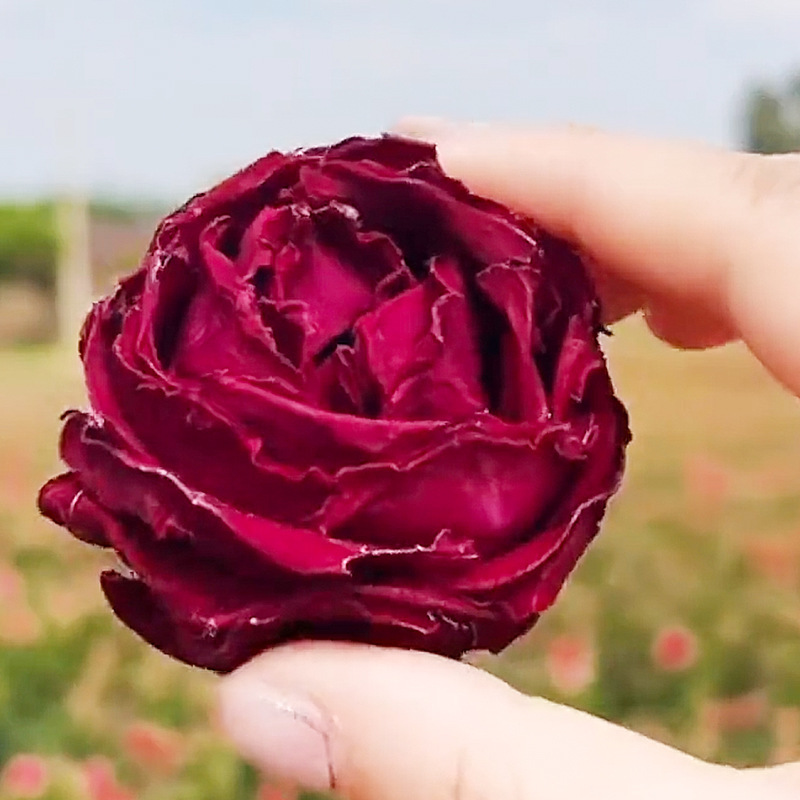 Red Rose Flower Tea, Fruit Tea, Tea Leaves from Yunnan, Edible Dried Flowers, Whole Large Flower Heads, Custom-Made