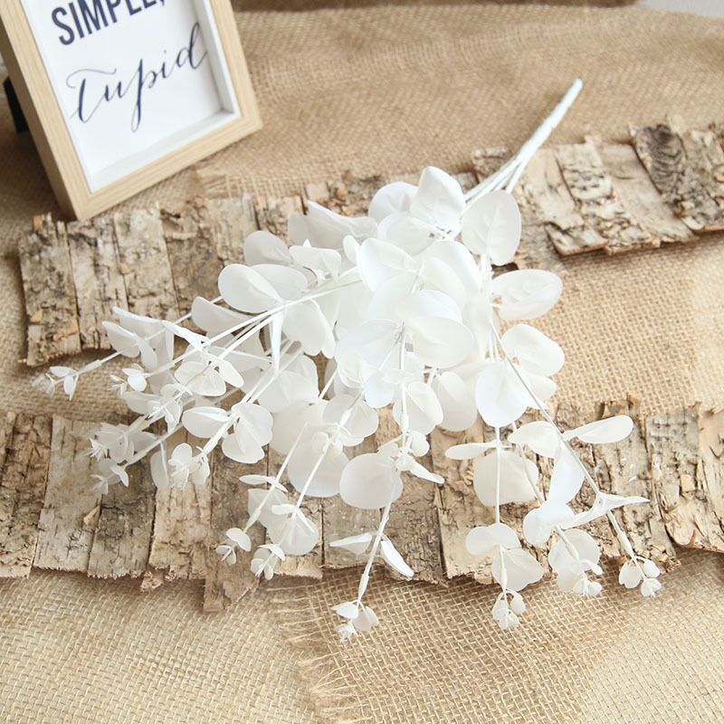 흰색 유칼립투스 1다발