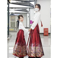 Hanfu Girls Horse юбка с конским лицом 2025 летний новый древний стиль новый китайский стиль мать-дочь и детское платье тост