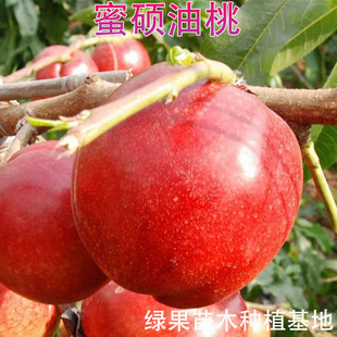 ����S������ �۴T������ �޽������� �Ҙ�����@�Nֲ�Ϸ������N