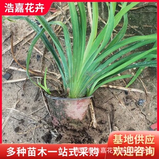 ����ݱ��绨��������·�G���־��ر����̶������޸��ͺ������L
