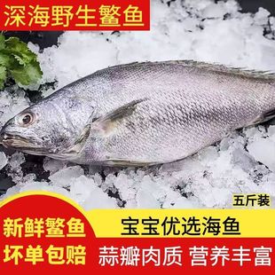 ���r�Ұ�����~����ك����~���r�~���������~���~