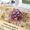 Poor Velvers purple (excluding pots)
