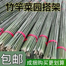 小竹竿蔬菜爬藤竹杆架种菜园搭架黄瓜架篱笆栅栏跳舞彩旗杆细竹子