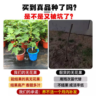 �����o��������������ش���Ϸ����������t�ń�����Ƥ�o�������