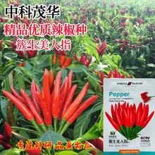 콷ƤţǽڸкζmгNӳ]ƷN