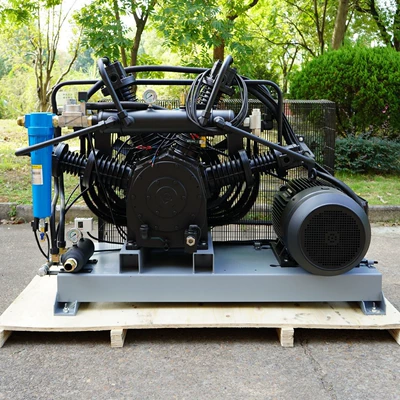 Lzw3.0/40-10D Screw Booster Compressor Industrial High-Pressure Gas Supply Special Air Compressor for Bottle Blowing