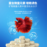 鱼魔王 8дм шестиугольный печень