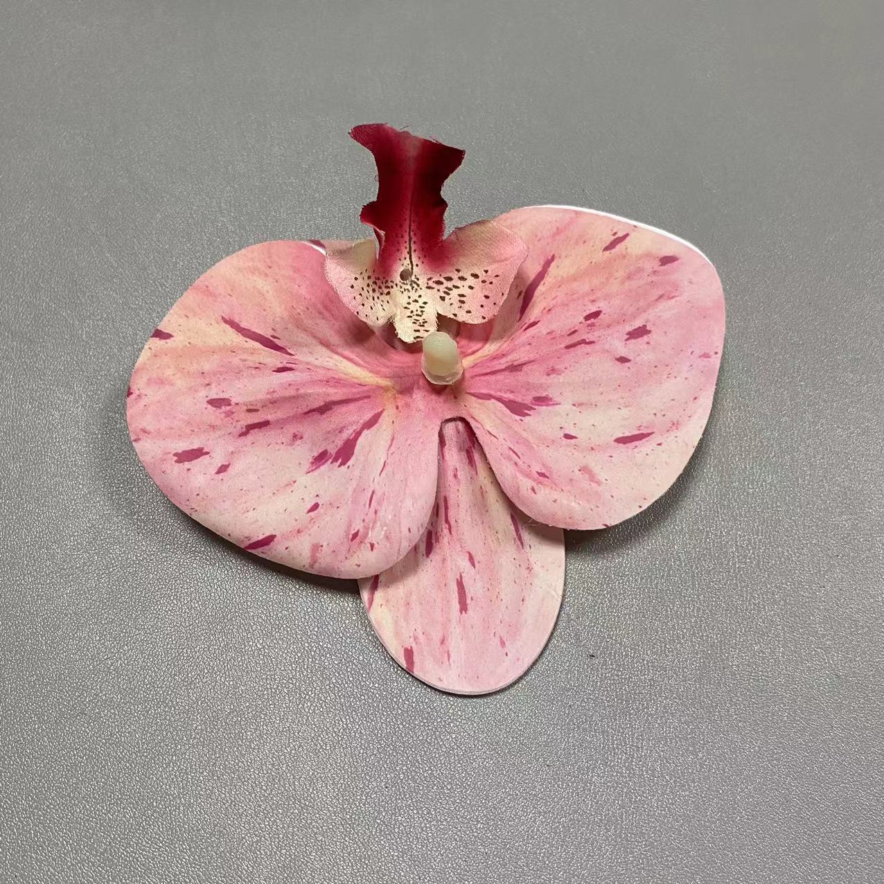 6호